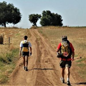 Via Francigena Montefiascone to Rome Self Guided