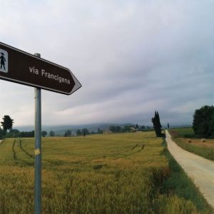 The Italian Camino Trek – Via Francigena