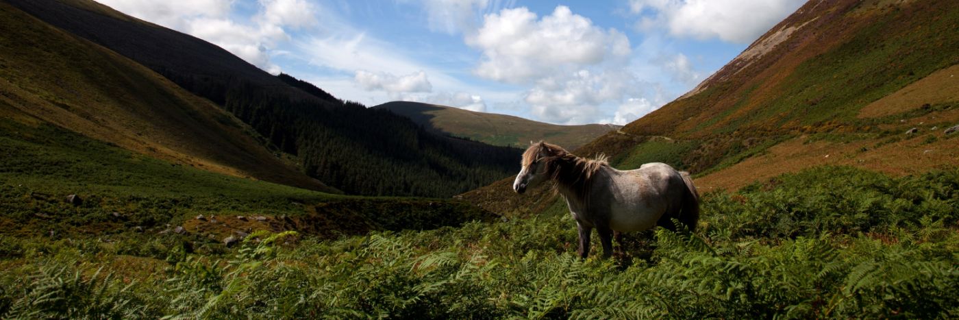 Snowdonia National Park