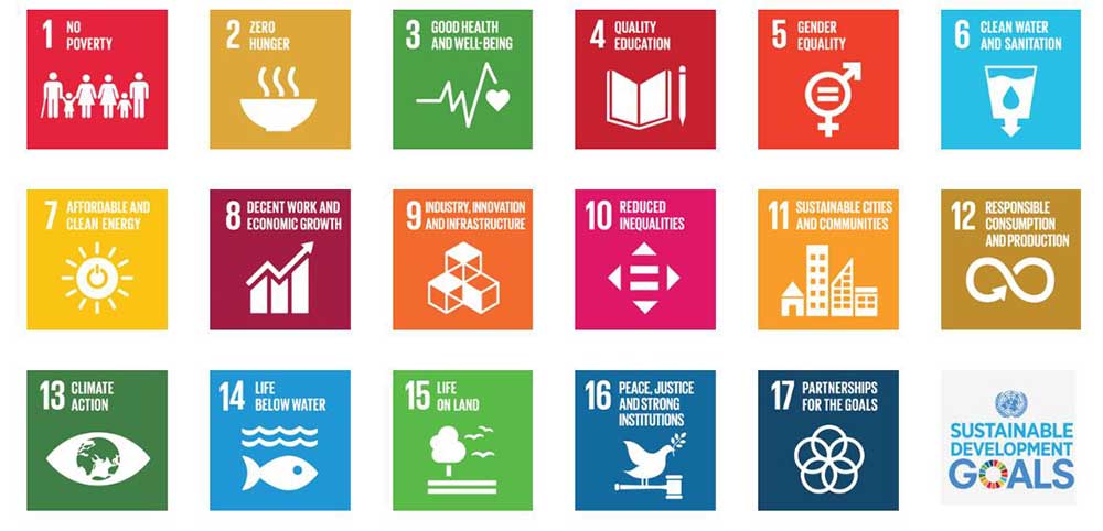 17 Sustainable Development Goals