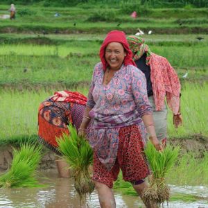 Nepal Hike, Bike & Raft Adventure