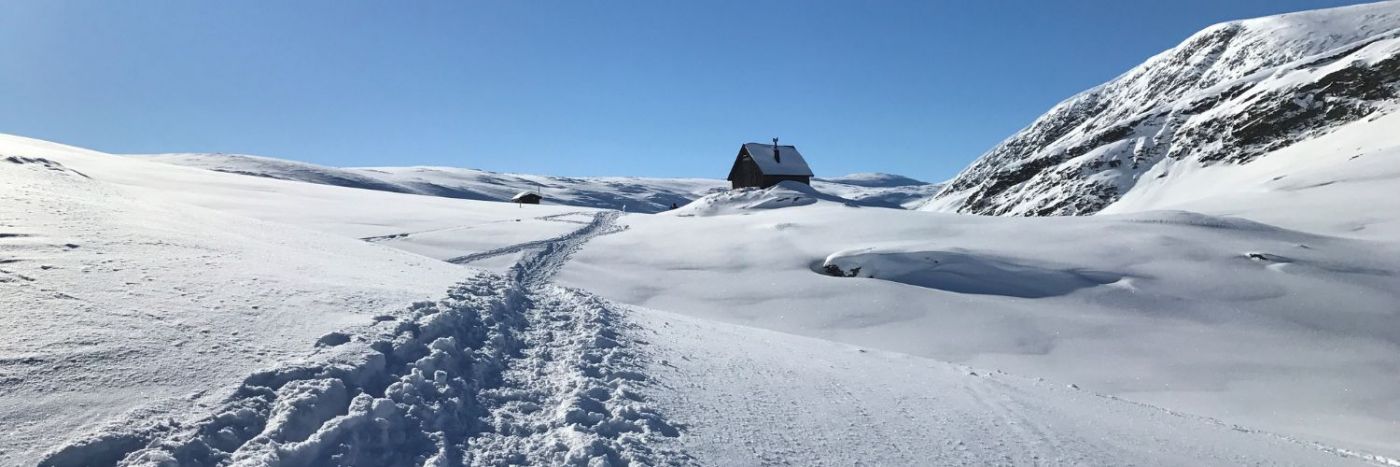 Kings Trail Arctic Snowshoe Expedition