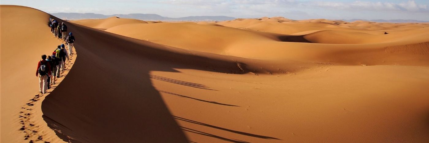 Trek The Sahara