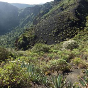 Gran Canaria Self-Guided Trek