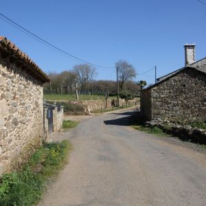 Camino de Santiago Self-Guided Trek