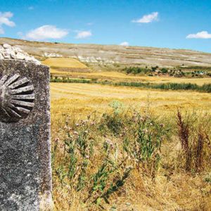 Camino de Santiago Self-Guided Trek