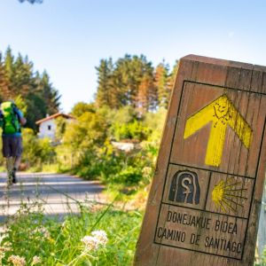 Camino de Santiago Self-Guided Trek