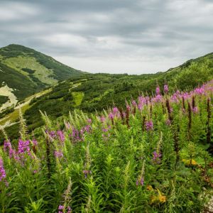 Summits & Canyons: High Tatras Trek Slovakia
