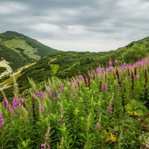 Adventure Hike Mala Fatra Mountains Slovakia