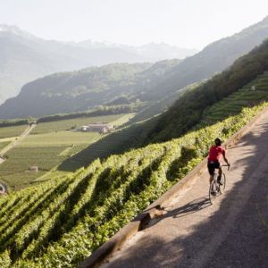 Great Italian Alps Cycling Challenge