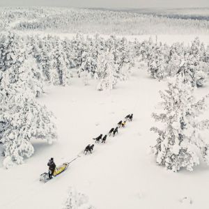 Finland Winter Wilderness Adventure