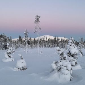 Finland Winter Wilderness Adventure