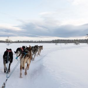 Finland Winter Wilderness Adventure