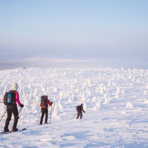 Finland Winter Wilderness Adventure