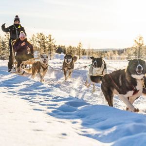 Finland Winter Wilderness Adventure