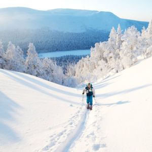 Finland Winter Wilderness Adventure