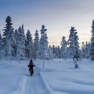 Finland Winter Wilderness Adventure