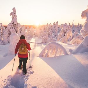 Finland Winter Wilderness Adventure