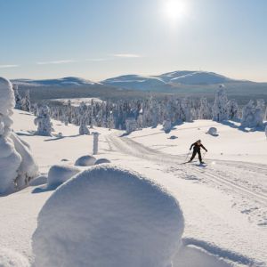 Finland Winter Wilderness Adventure