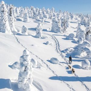 Finland Winter Wilderness Adventure