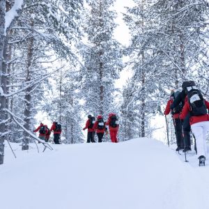 Finland Winter Wilderness Adventure