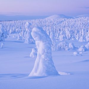 Finland Winter Wilderness Adventure