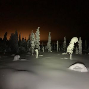 Finland Winter Wilderness Adventure