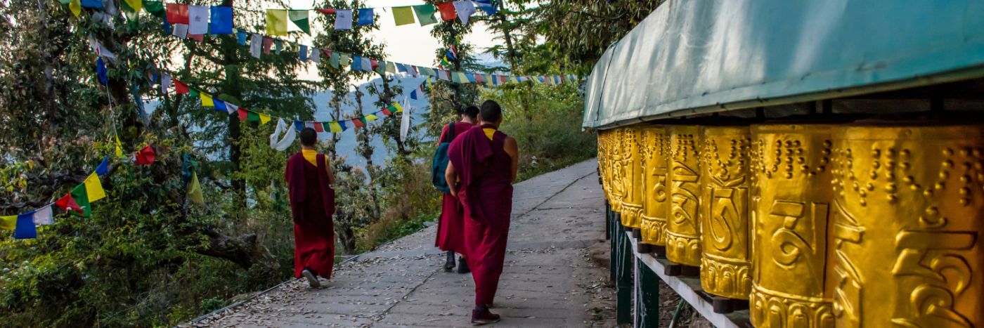 Indian Himalayas Trek