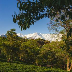 Taj, Temples & Trails of the Indian Himalayas