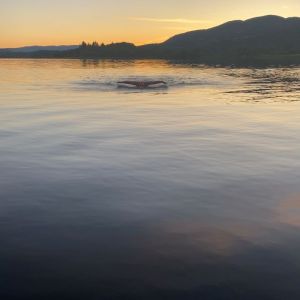 The Great Trossachs Path Hike & Swim Scotland