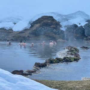 South Iceland Hike & Swim Adventure