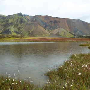 South Iceland Hike & Swim Adventure