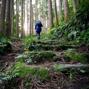 Kumano Kodō Japan Self-Guided Trek