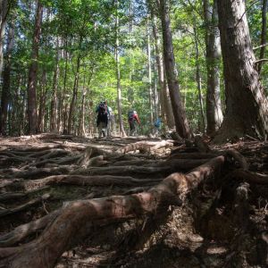 Kumano Kodō Japan Self-Guided Trek