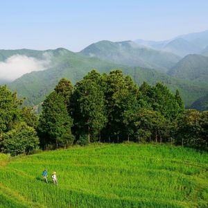 Kumano Kodō Japan Self-Guided Trek