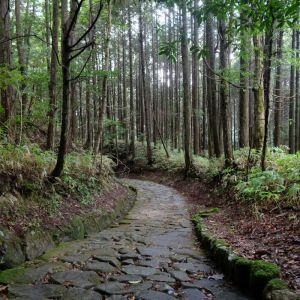 Nakasendō Trail Japan Self-Guided Trek