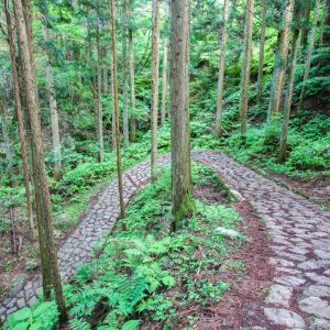 Nakasendō Trail Japan Self-Guided Trek