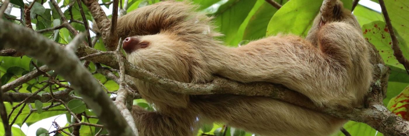 Ultimate guide to Costa Rica
