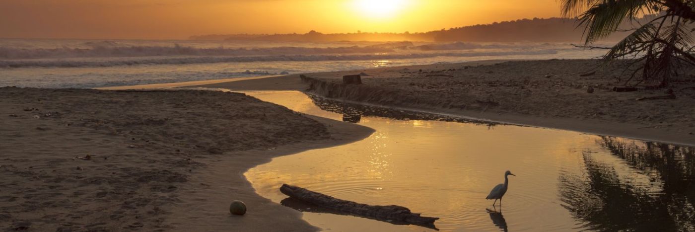 Ultimate Costa Rica Coast to Coast experience