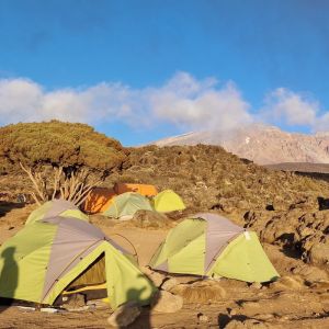 Adventure Queens IWD Kilimanjaro Trek with Jo Bradshaw