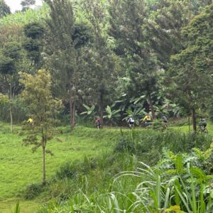 Rwanda Cycling Adventure: Congo Nile Trail