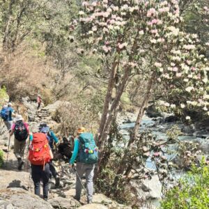 Yala Peak Expedition Nepal