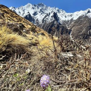 Yala Peak Expedition Nepal