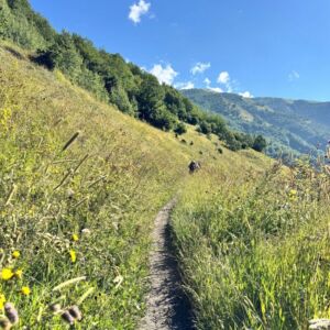 Svaneti Highlands Trek – Western Georgia & the Caucasus