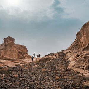 Petra & Wadi Rum Trek Jordan