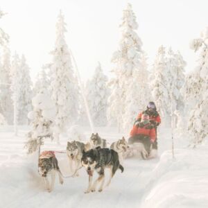 Finland Arctic Challenge