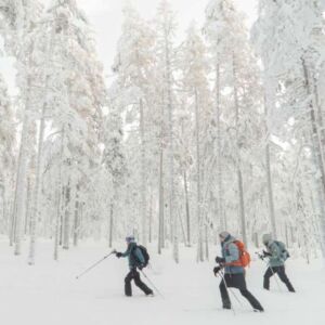 Finland Arctic Challenge