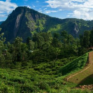Sri Lanka Pekoe Trail Trek