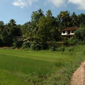 Sri Lanka Pekoe Trail Trek